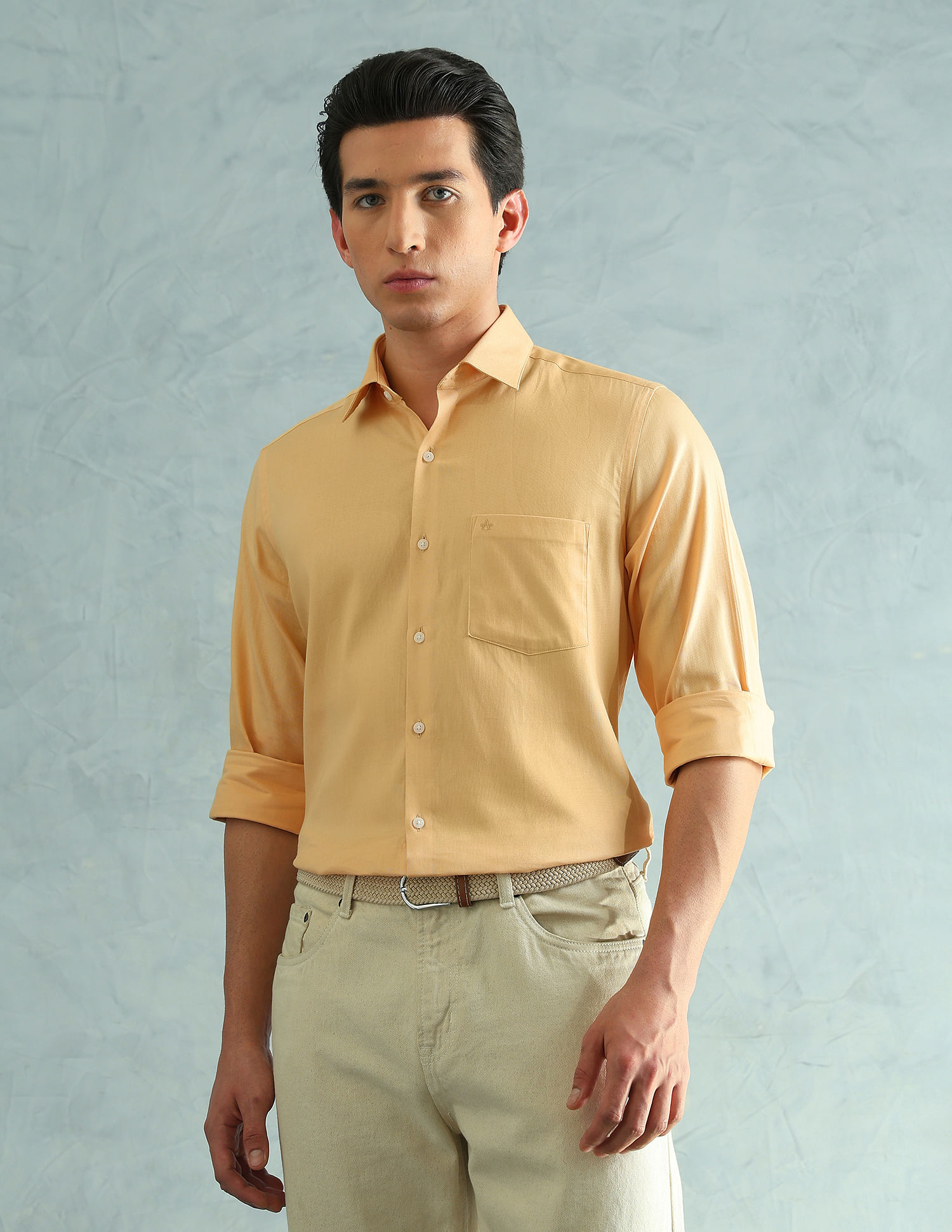 Arrow Full sleeves Slim Fit Smart Formal Shirt