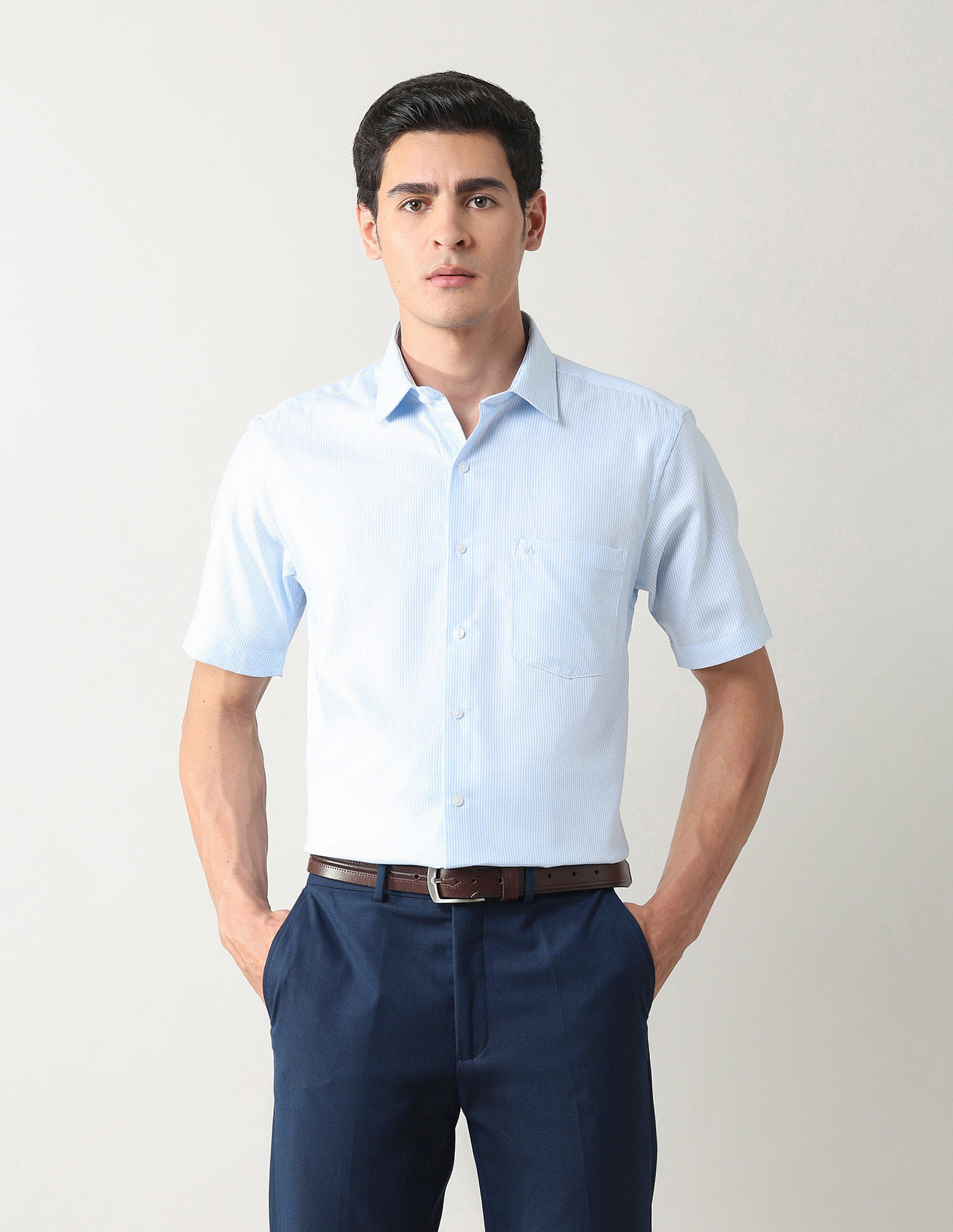 Arrow Textured Liberty Classic Fit Shirt