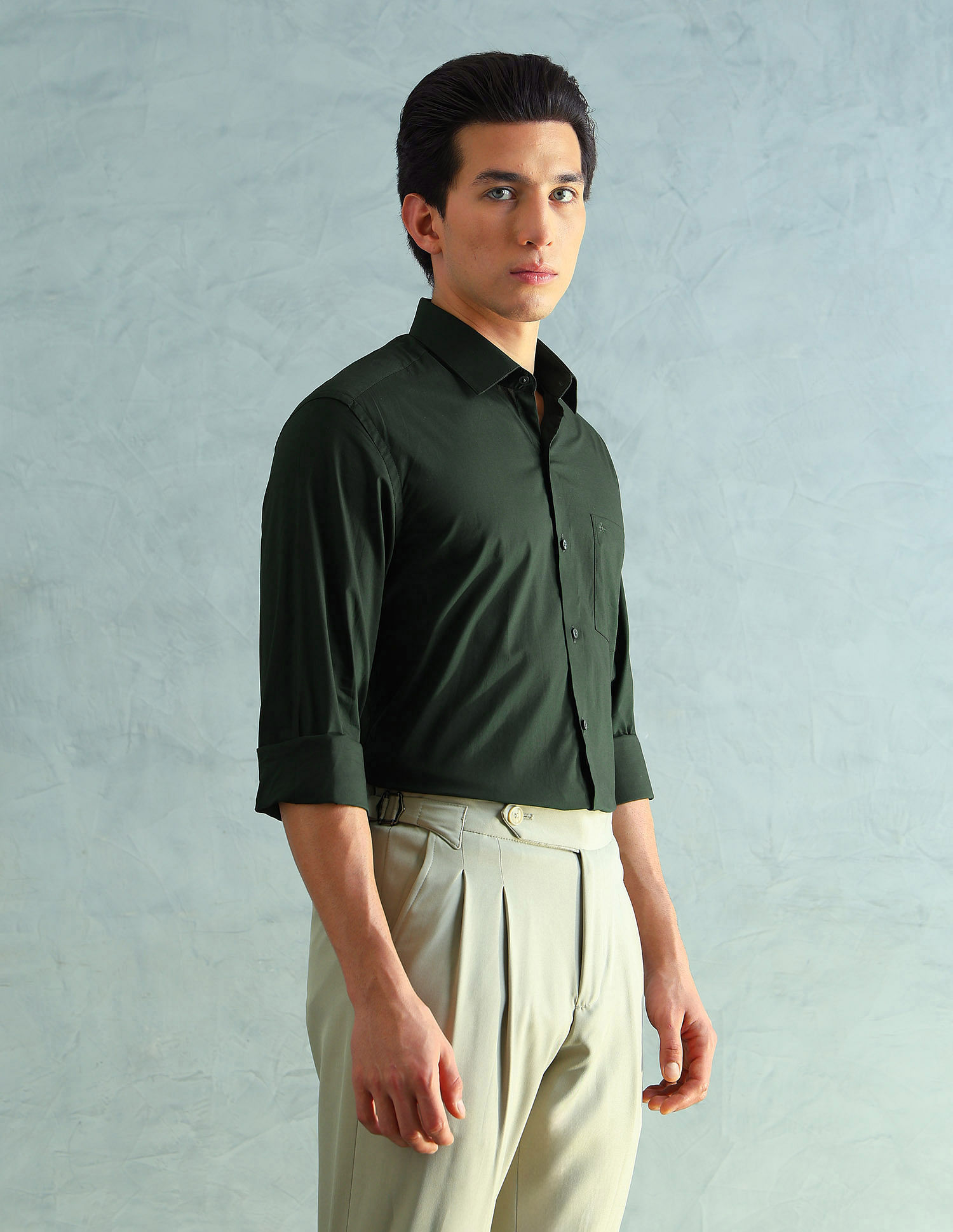 Arrow Slim Fit Smart Formal Shirt