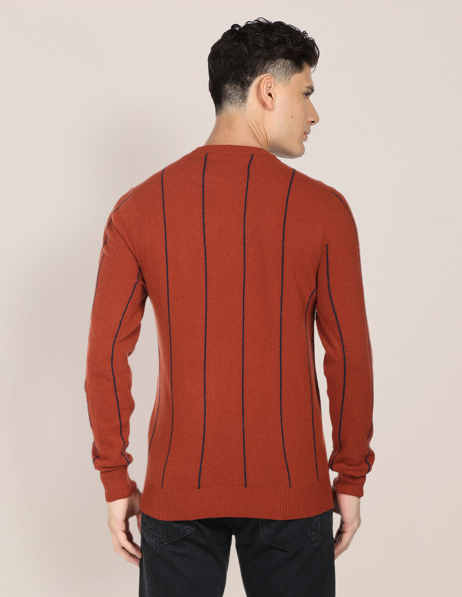 U.S. Polo Assn. Crew Neck Vertical Stripe Sweater
