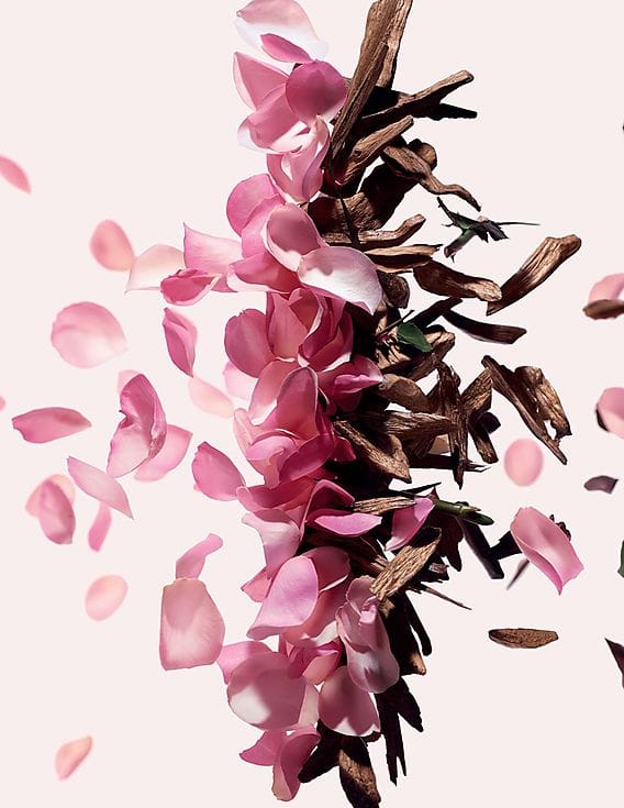 irresistible givenchy note