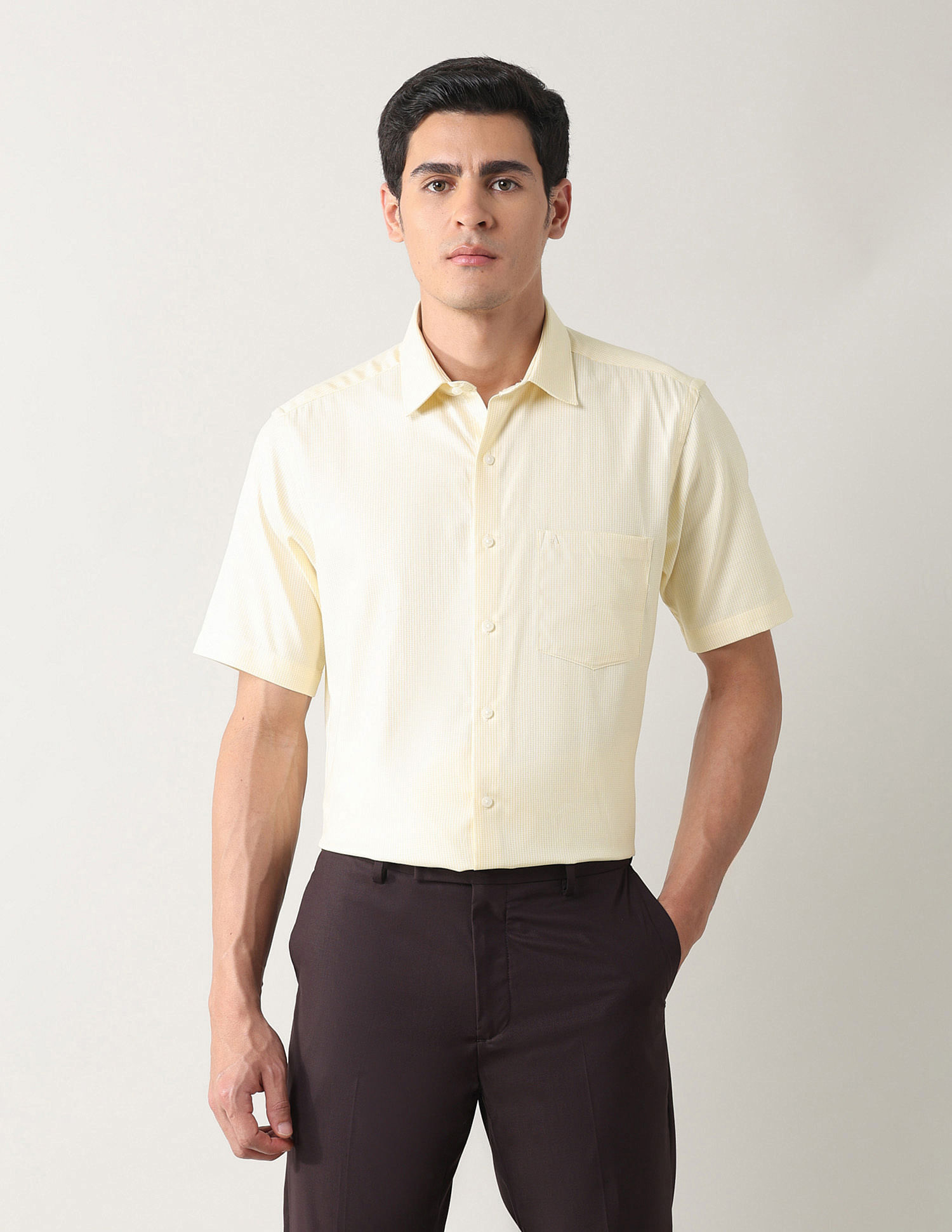 Arrow Textured Liberty Classic Fit Shirt