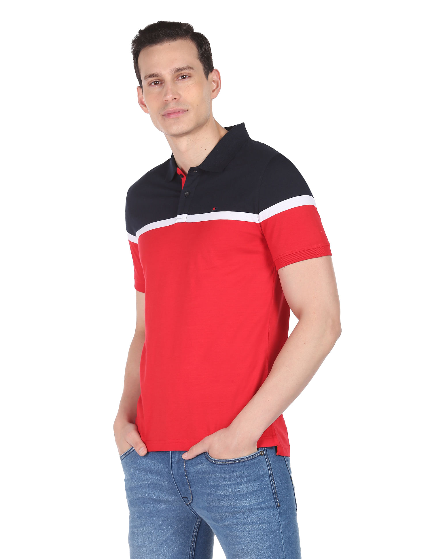 AD by Arvind Modern Fit Colour Block Polo Shirt