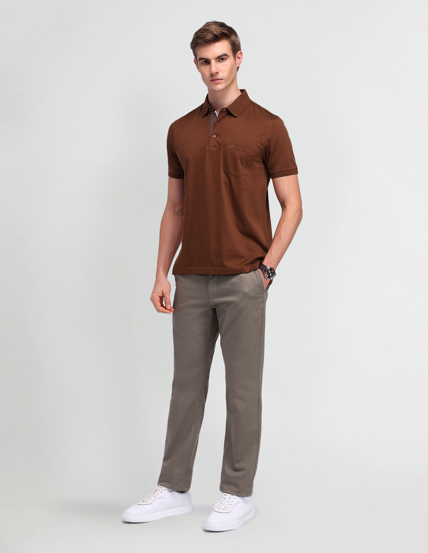 Arrow Solid Regular Cotton Polo Shirt
