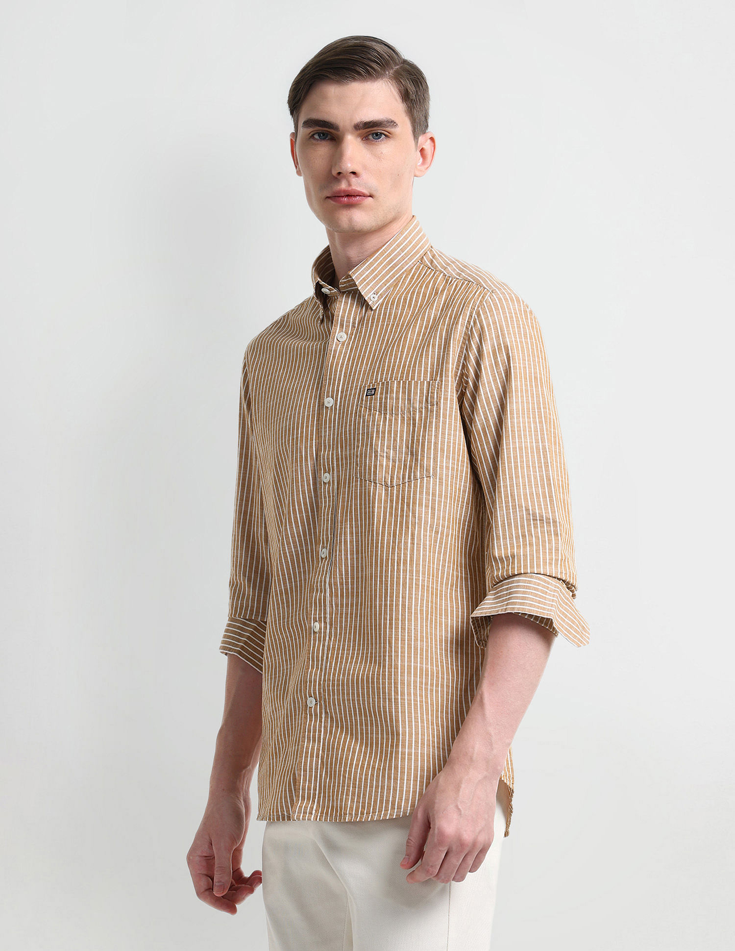 Arrow Sport Vertical Stripe Cotton Shirt