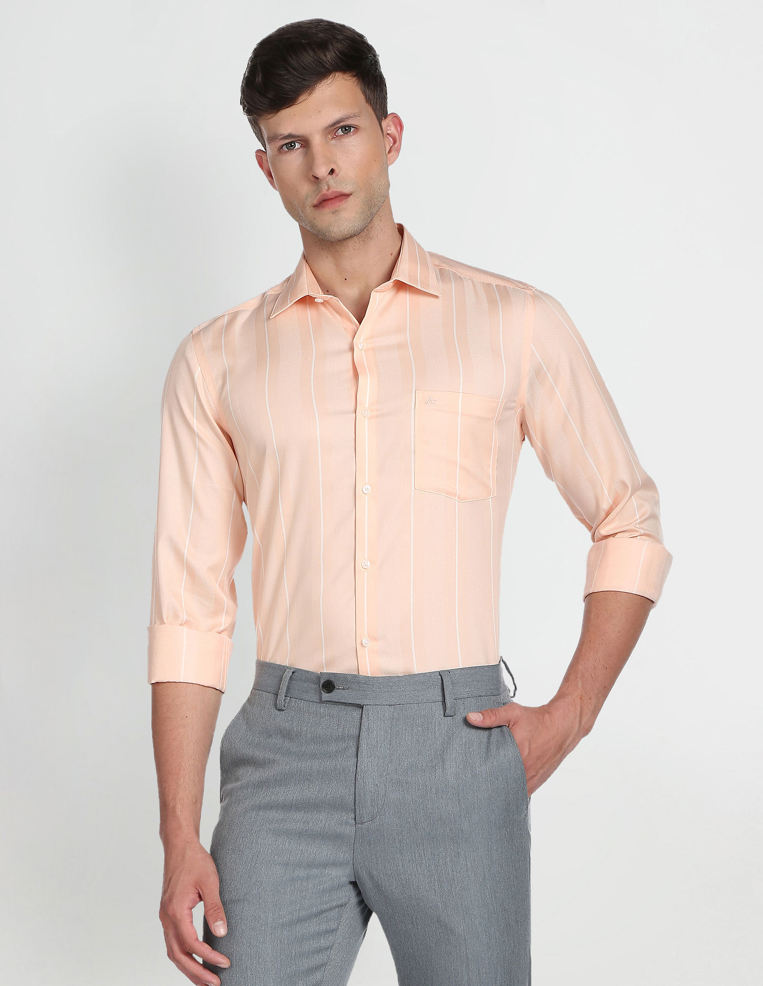 Arrow Auto Press Vertical Stripe Shirt