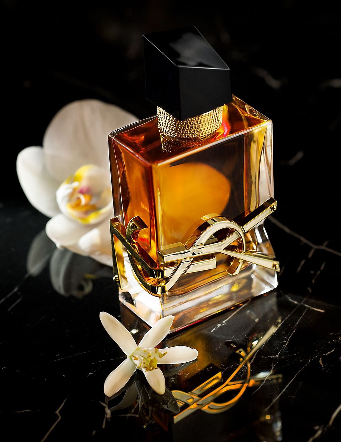 Buy Yves Saint Laurent Libre Eau De Parfum Intense