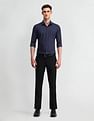 Arrow Manhattan Slim Fit Pinstripes Shirt