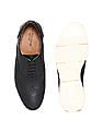 U.S. Polo Assn. Wingtip Leather Lionel Oxford Shoes