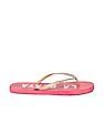 Aeropostale Printed Flip-Flops
