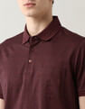 Arrow Pure Cotton Night Is Young Polo Shirt