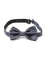 Arrow Men Pre Tied Jacquard Bow