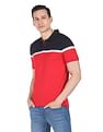 AD by Arvind Modern Fit Colour Block Polo Shirt