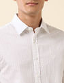 U.S. Polo Assn. Tailored Fit Solid Pure Cotton Shirt