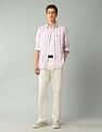 Arrow Sport Manhattan Slim Fit Vertical Striped Shirt