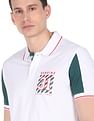 AD by Arvind Cotton Colour Block Polo Shirt