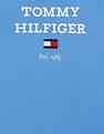 Tommy Hilfiger Boys Blue Logo T-Shirt