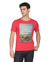 Flying Machine Cotton Graphic Print T-Shirt