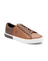 U.S. Polo Assn. Men Panal 3.0 Colourblocked Sneakers